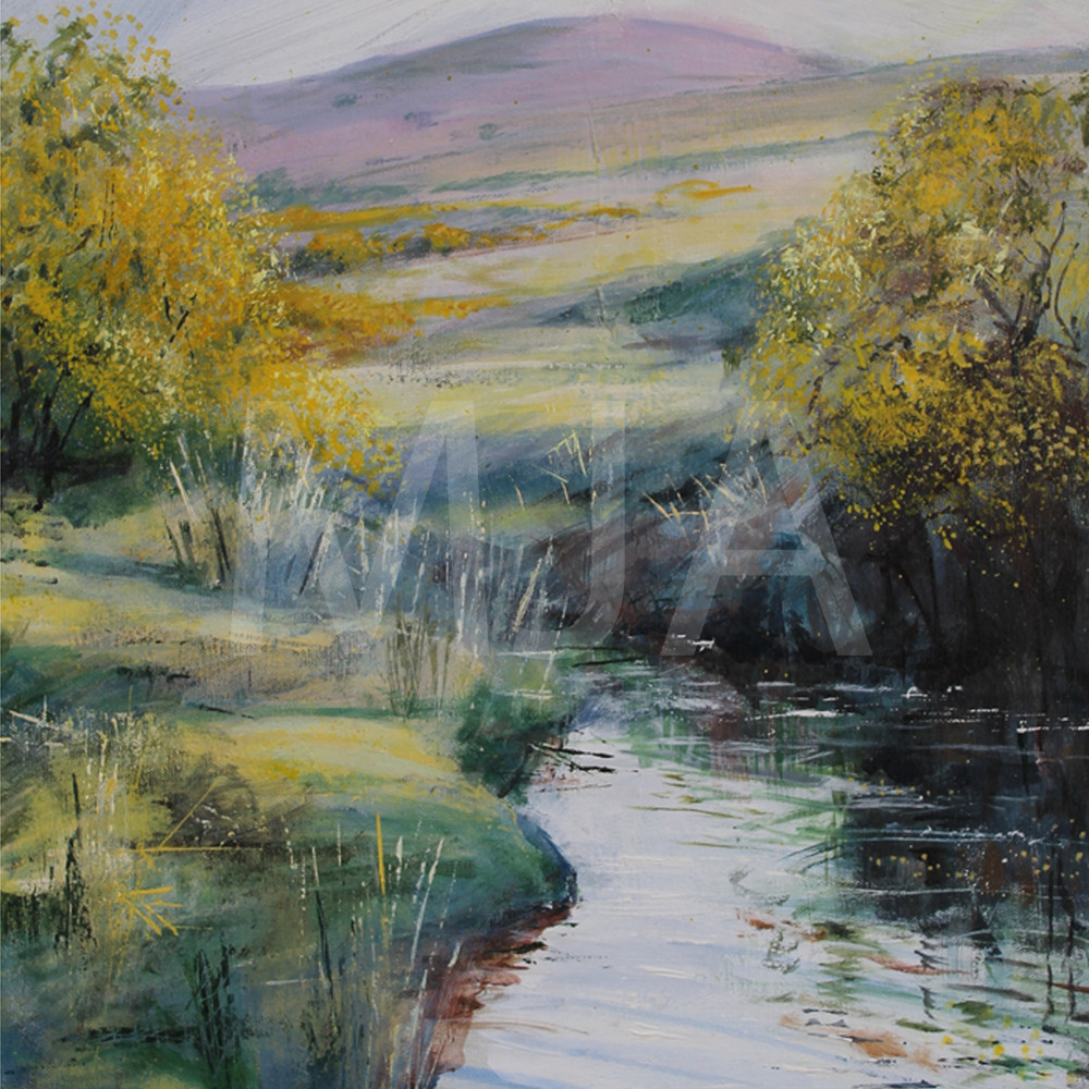 River Lyd SWM