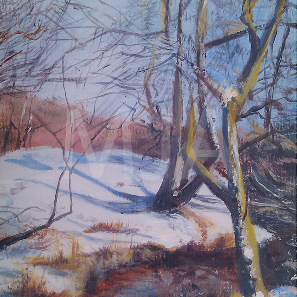 River Walkman Snow SWM