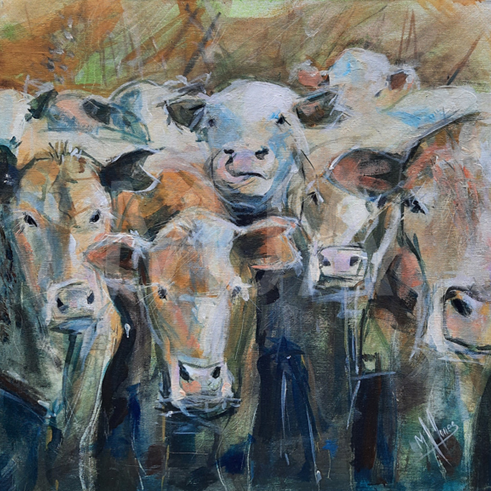 The Herd SWM