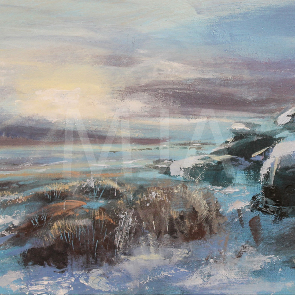 Dartmoor Snow SWM