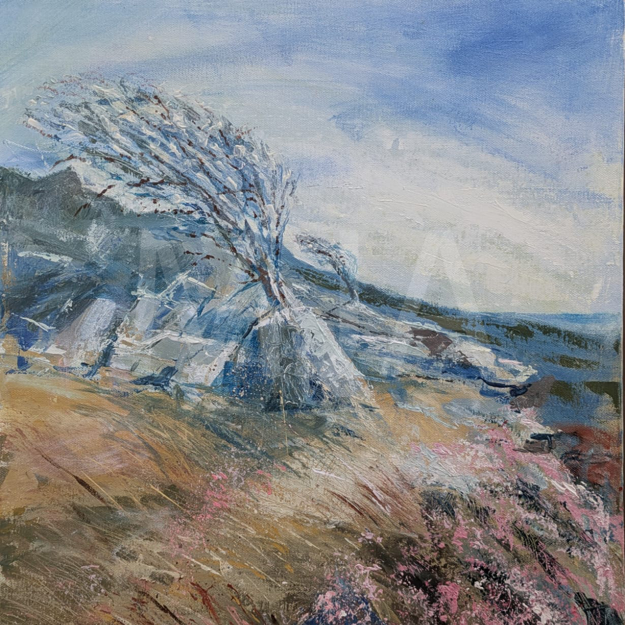 Windy_Widgery SWM